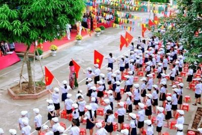 Kết quả thi tuyển vào THCS Trần Đăng Ninh